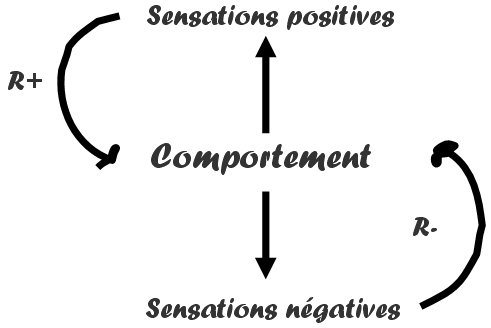schema tabac